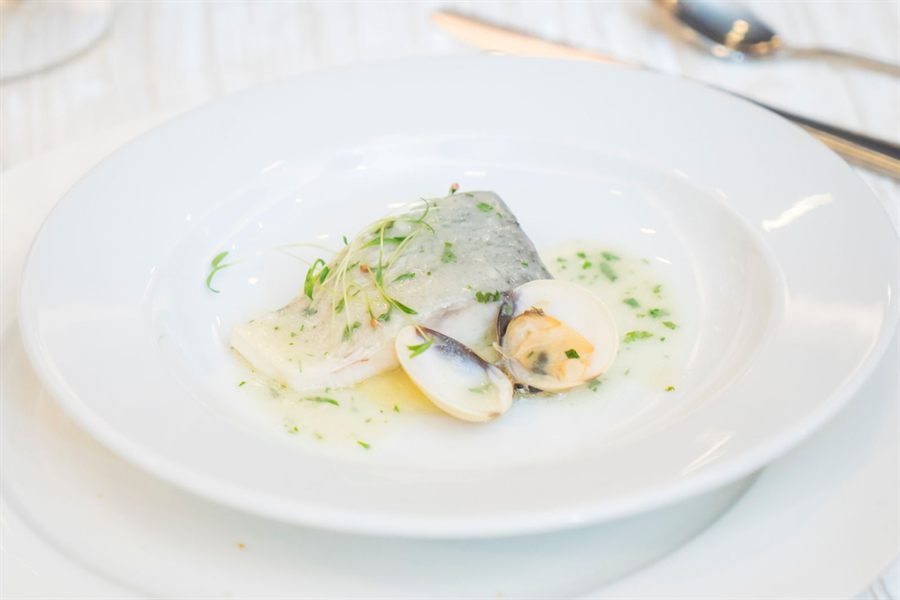 Seafood with clams and herbs on a white plate